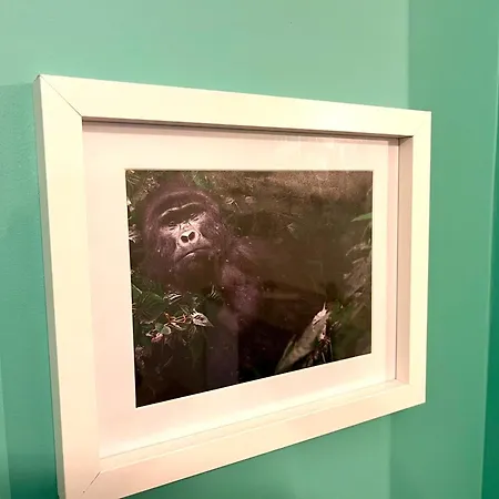شقة La Bonbonniere Verte كان